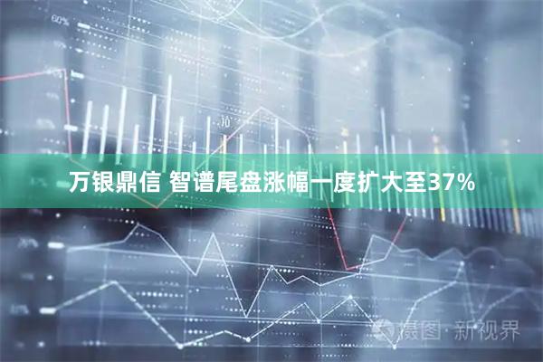 万银鼎信 智谱尾盘涨幅一度扩大至37%