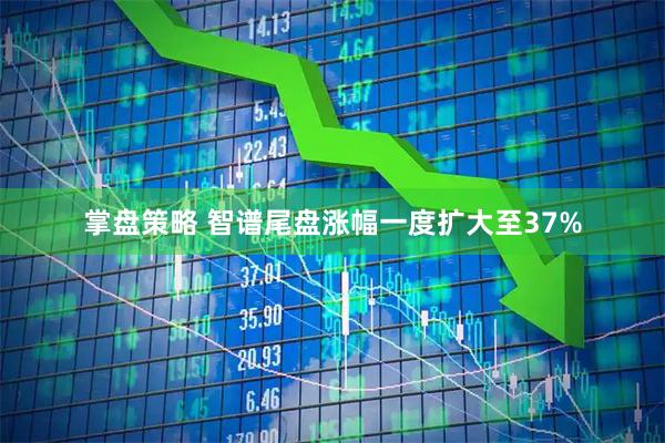 掌盘策略 智谱尾盘涨幅一度扩大至37%