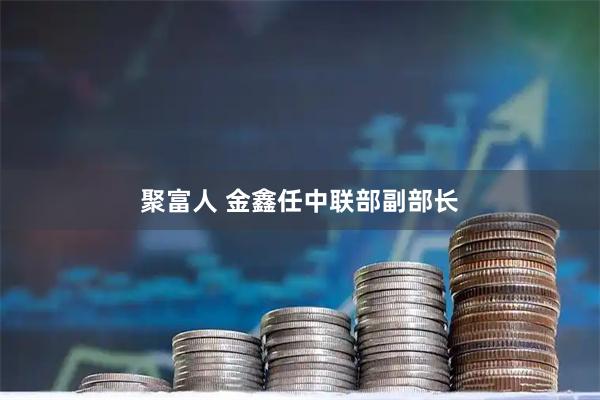 聚富人 金鑫任中联部副部长
