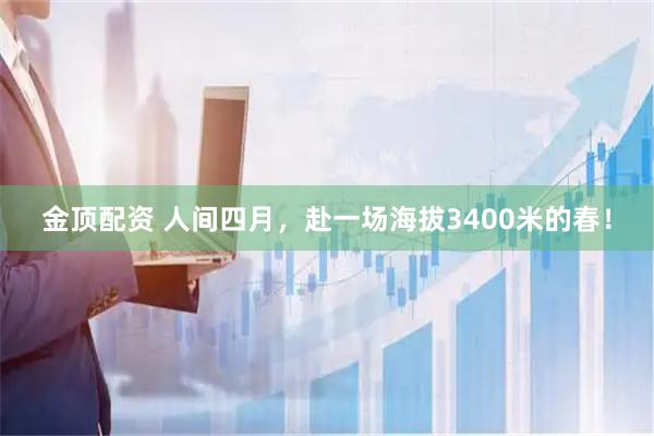 金顶配资 人间四月，赴一场海拔3400米的春！