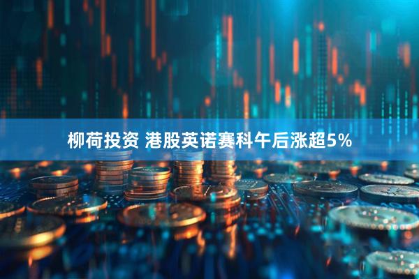 柳荷投资 港股英诺赛科午后涨超5%