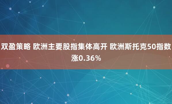 双盈策略 欧洲主要股指集体高开 欧洲斯托克50指数涨0.36%