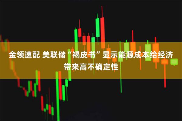 金领速配 美联储“褐皮书”显示能源成本给经济带来高不确定性