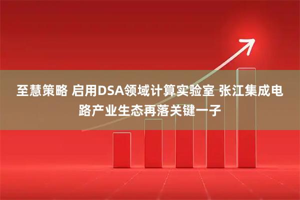 至慧策略 启用DSA领域计算实验室 张江集成电路产业生态再落关键一子