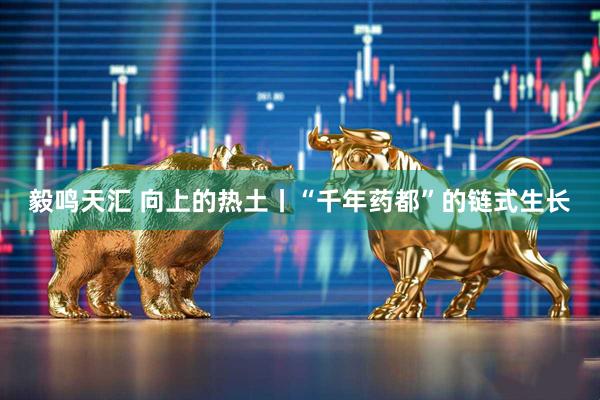 毅鸣天汇 向上的热土丨“千年药都”的链式生长