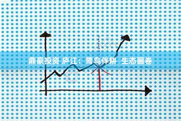 鼎豪投资 庐江：鹭鸟伴耕  生态画卷