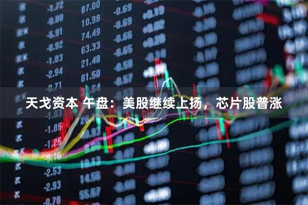 天戈资本 午盘：美股继续上扬，芯片股普涨